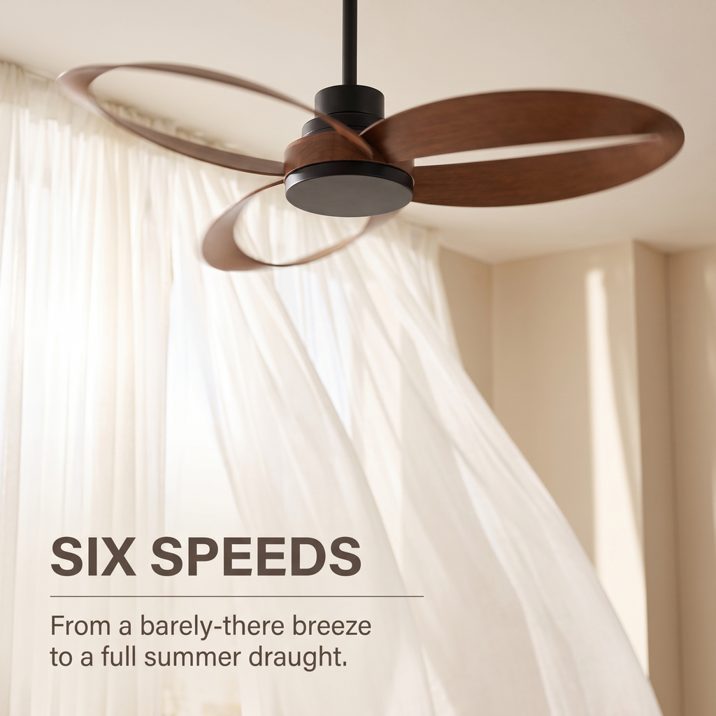 Curve | Designer DC ceiling fan with light