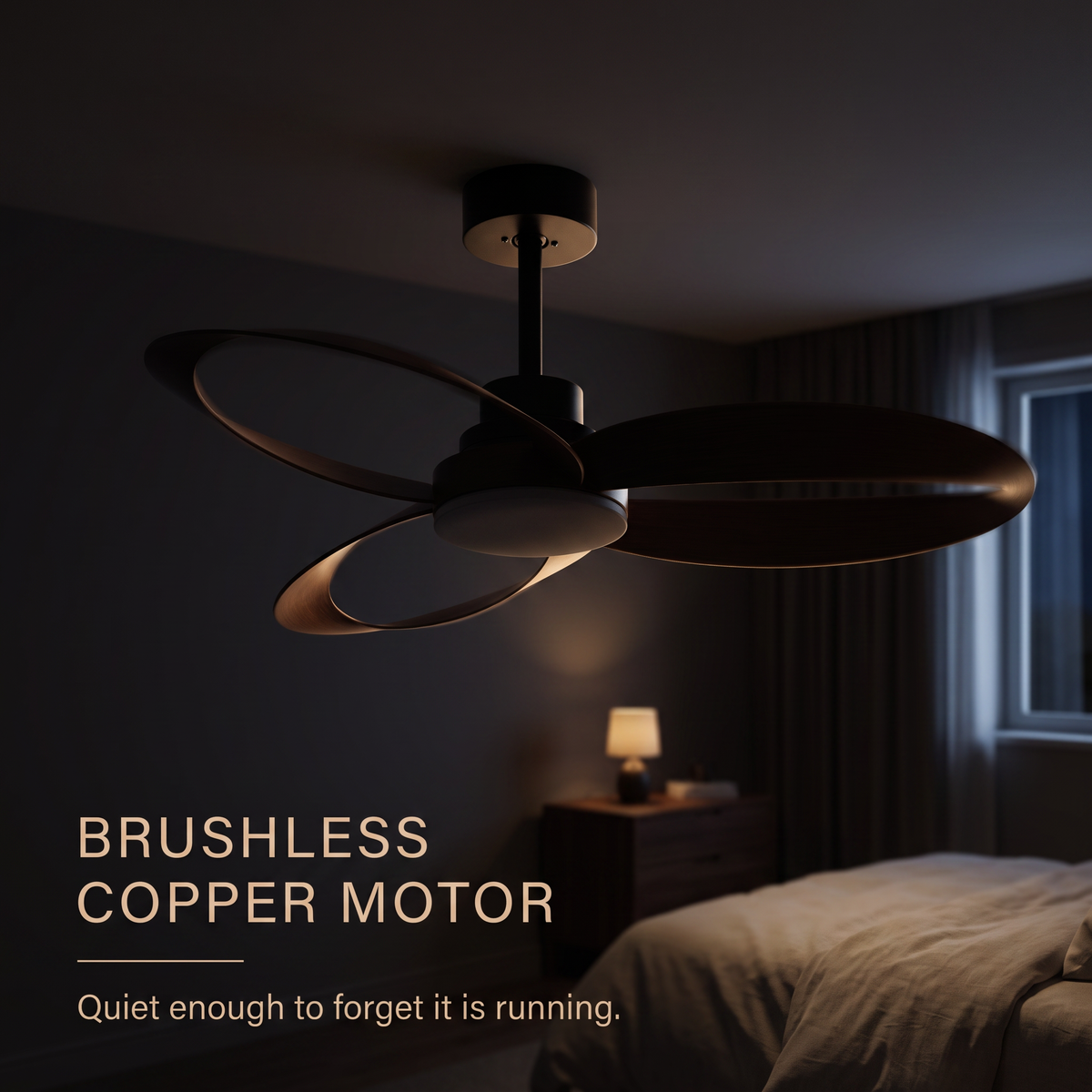 Curve | Designer DC ceiling fan with light