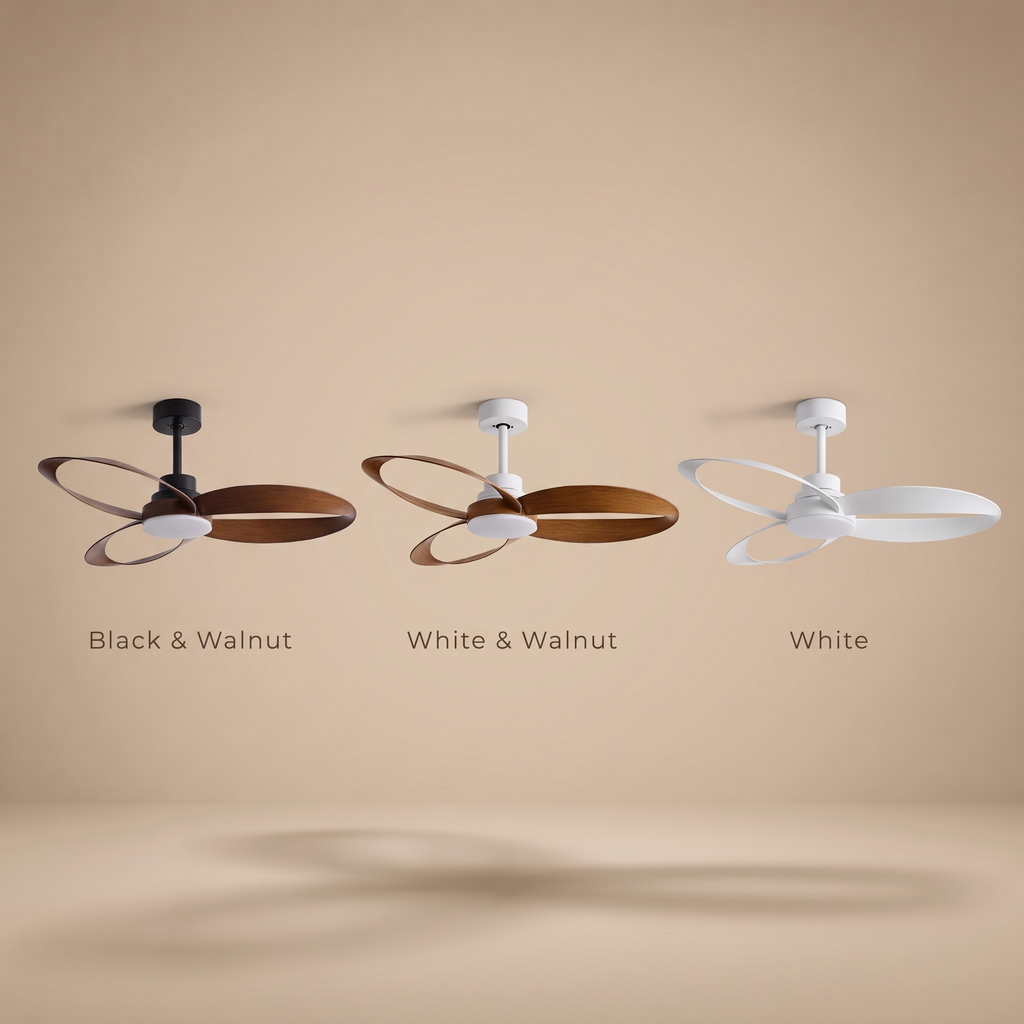 Curve | Designer DC ceiling fan with light