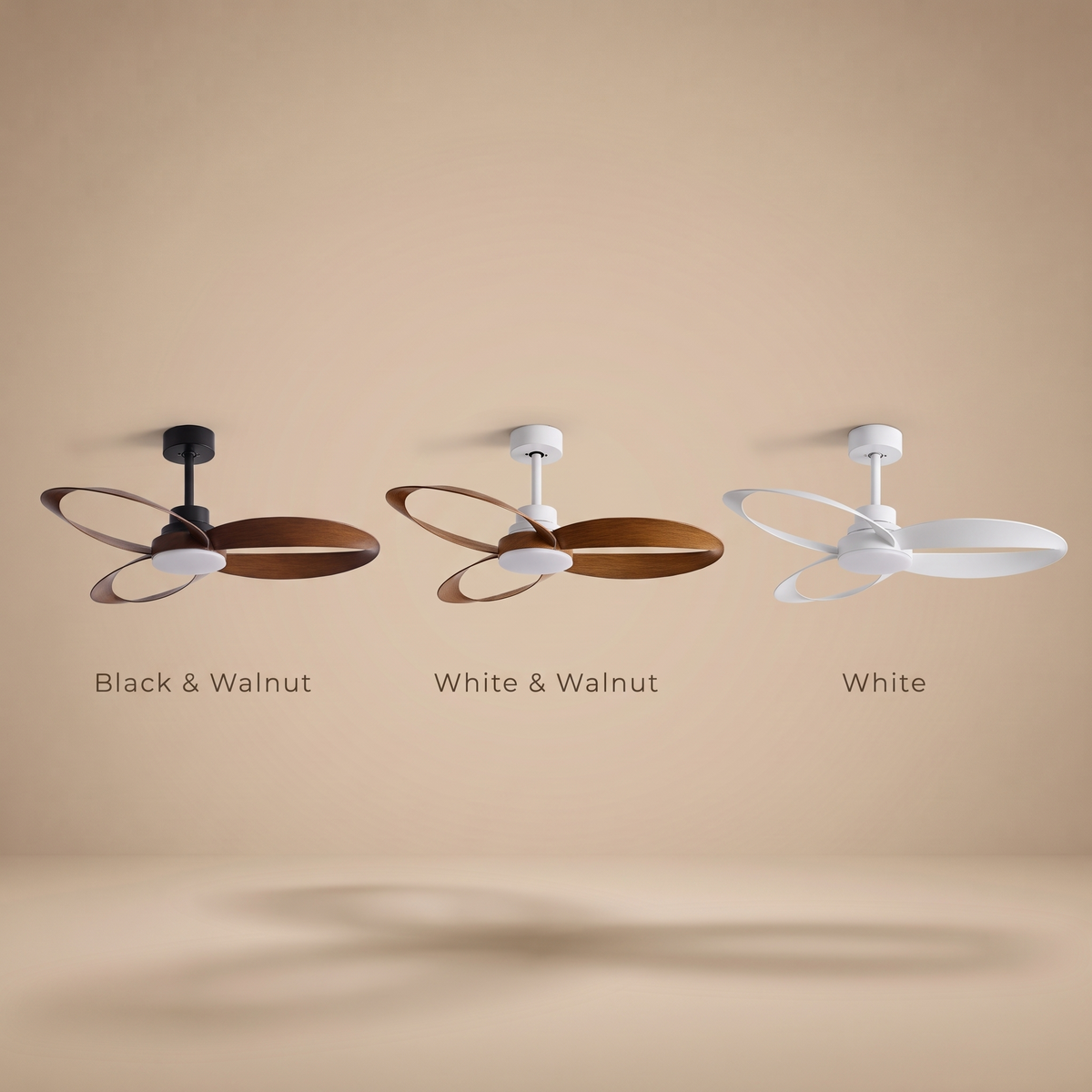 Curve | Designer DC ceiling fan with light