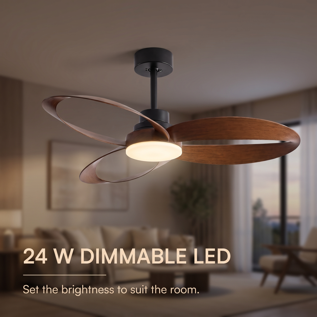 Curve | Designer DC ceiling fan with light