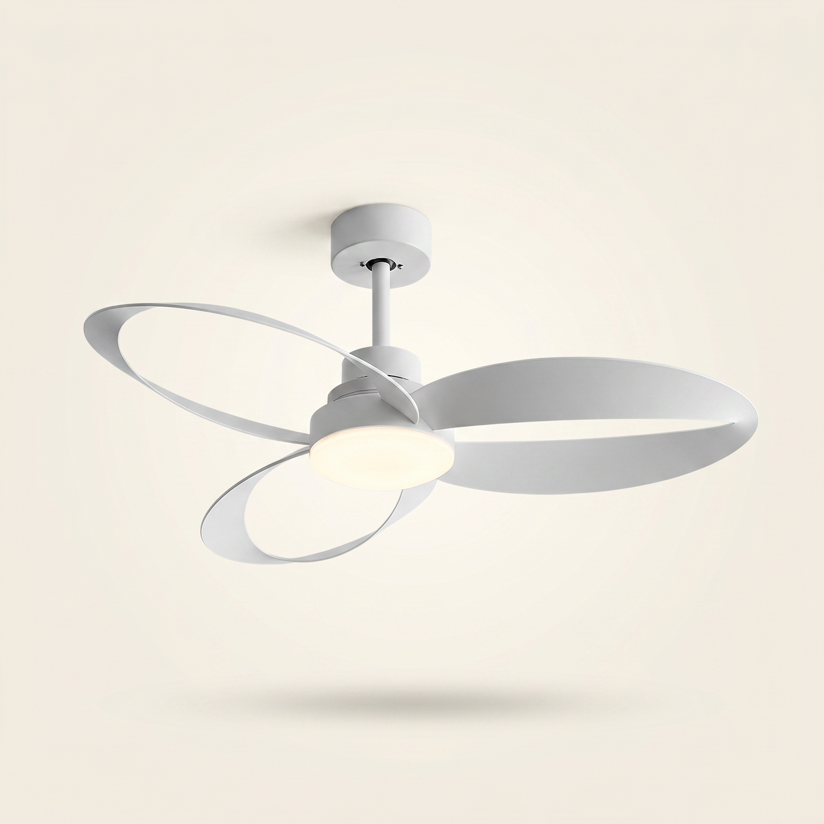 Curve | Designer DC ceiling fan with light