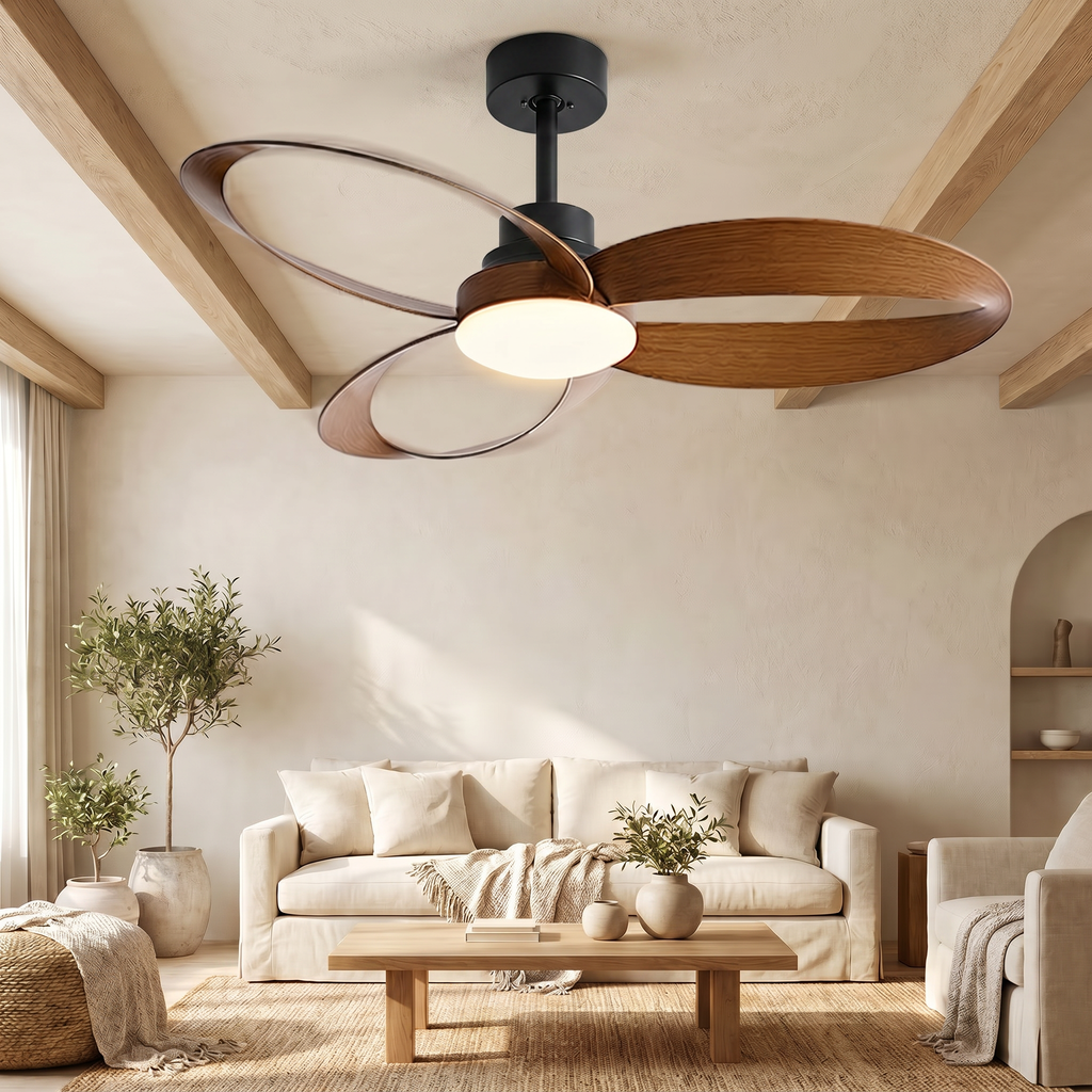 Curve | Designer DC ceiling fan with light